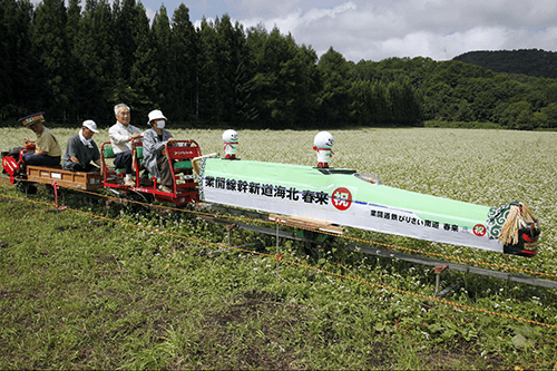 千軒そばの花観賞会１