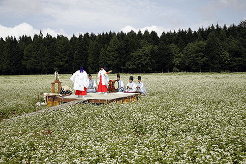 千軒そばの花観賞会３